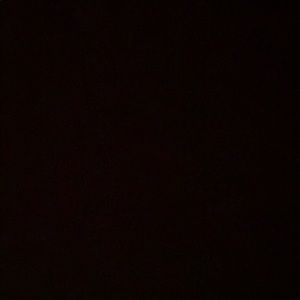 Meet your Posher, Dionna